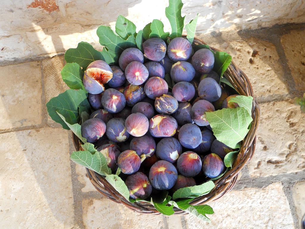 Agriturismo Masseria Casa Busciana Alberobello Eksteriør billede
